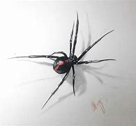 Image result for Realistic Spider Printable