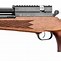 Image result for Carbine Air Rifle