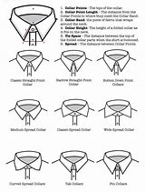 Image result for Button Down Shirt Collar Types