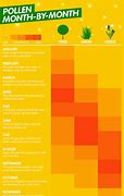 Image result for Pollen Allergy and Food Chart