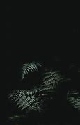 Image result for Simple iPhone Wallpapers Dark
