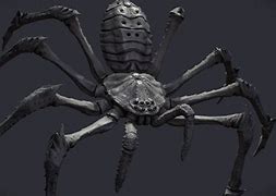 Image result for Illustration of a Goliath Spider