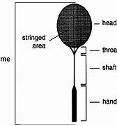 Image result for Badminton Racket Diagram
