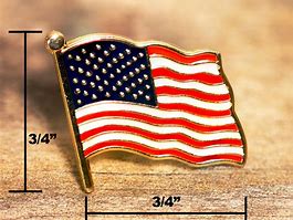 Image result for American Flag Pin