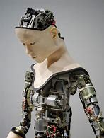 Image result for The Robot People Theory