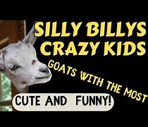 Image result for Funny Crazy Kids