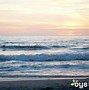 Image result for Surf Culture Hang Out