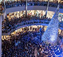 Image result for Christmas Trees Mall of American Entry