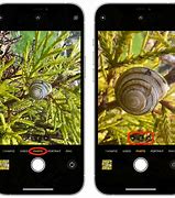 Image result for Macro Mode iPhone Camera