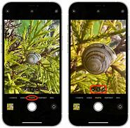 Image result for iPhone 13 Camera Photography Sample