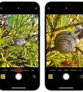 Image result for moments iphone macro lenses