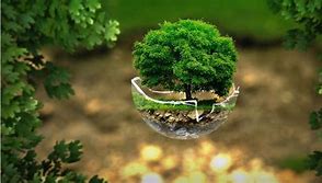 Image result for environment around