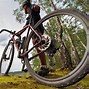 Image result for Tires