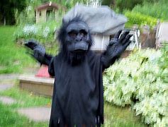 Image result for Bigfoot Animal