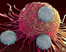 Image result for Tumor Cell