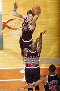 Image result for Bulls NBA G-League