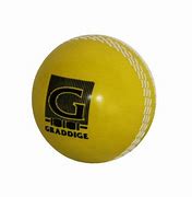 Image result for Plastic Cricket Ball