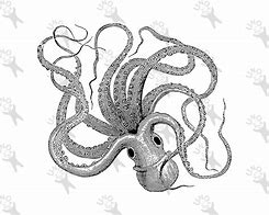 Image result for Vintage Octopus Printable