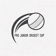 Image result for Cricket Final