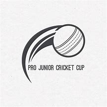 Image result for Touch Cricket