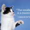 Image result for Sassy Cat Quotes