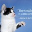 Image result for Cute Cat Quotes
