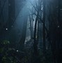 Image result for Mystical Foggy Forest