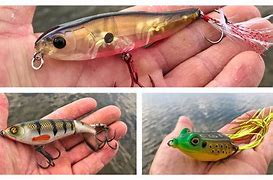 Image result for Topwater Fishing Lures