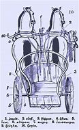 Image result for H Type Ancient Greek Chariot