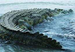 Image result for Biggest CROCODILE Ever Found