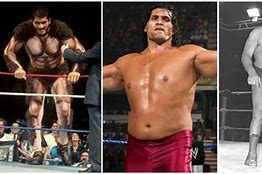 Image result for Greatest Olympic Wrestlers
