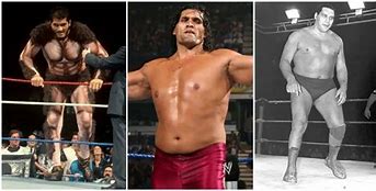 Image result for Top Olympic Wrestlers