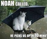 Image result for Funny Rain Memes Stickers