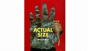 Image result for Actual Size Steve Jenkins