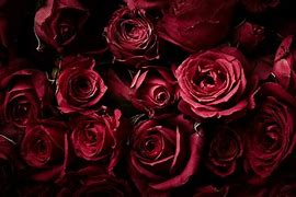 Image result for Black and Rose Gold iPhone Wallpaper