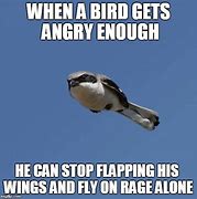 Image result for Funny Angry Meme