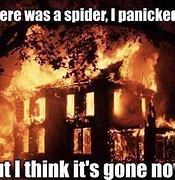 Image result for Spider Meme Burning House