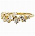 Image result for Champagne Diamond Ring
