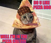 Image result for Meme Pizza Cute Cat