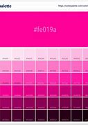 Image result for Hexadecimal Pink Color