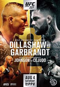 Image result for MMA Poster
