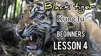 Image result for Black Tiger Kung Fu