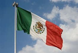 Image result for Bandera Mexicana