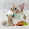 Image result for Dental Chew Toys for Cats
