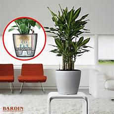 vaso lechuza vasi per piante e vasi da giardino da bardin garden store vaso lechuza vasi per piante e vasi da giardino da bardin garden store