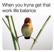 Image result for Work/Life Balance Meme