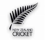 Image result for New Zealand Cricket Logo