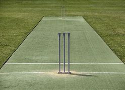 Image result for Cricket Pitch Park