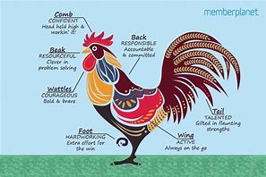 Image result for China Rooster