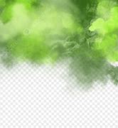 Image result for Green Smoked Border